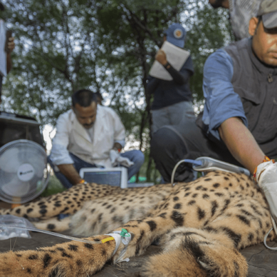 _A1A3081 copy (1) (1)-min 3 (1)