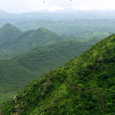 WLMshaping the future (1)