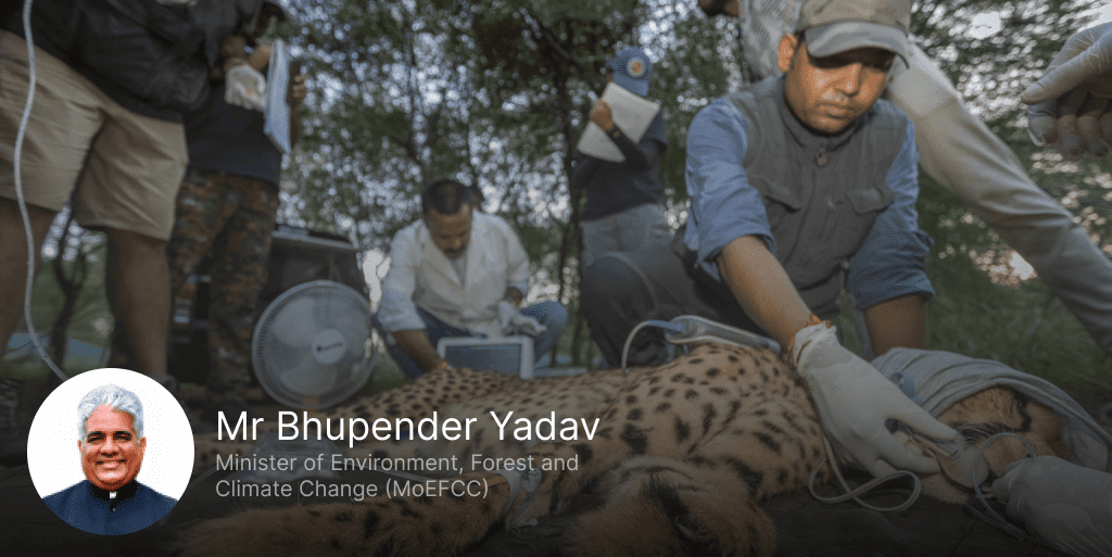 The Road Ahead: Sustaining India’s Cheetah Conservation Dream