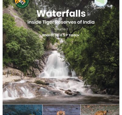 Waterfalls Inside Tiger Reserves of India