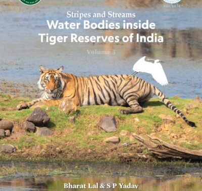 Stripes and Streams: Water Bodies inside India’s Tiger Reserves