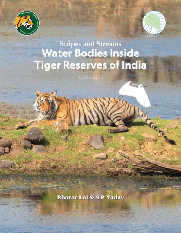 Stripes and Streams: Water Bodies inside India’s Tiger Reserves