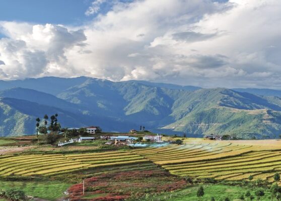 Farm in Bhutan eastern mountains near Trashigang - Eastern Bhutan