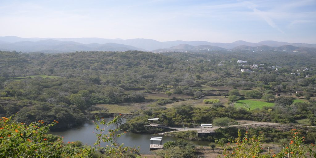 Remote Sensing & GIS for Eco-restoration of the Aravallis