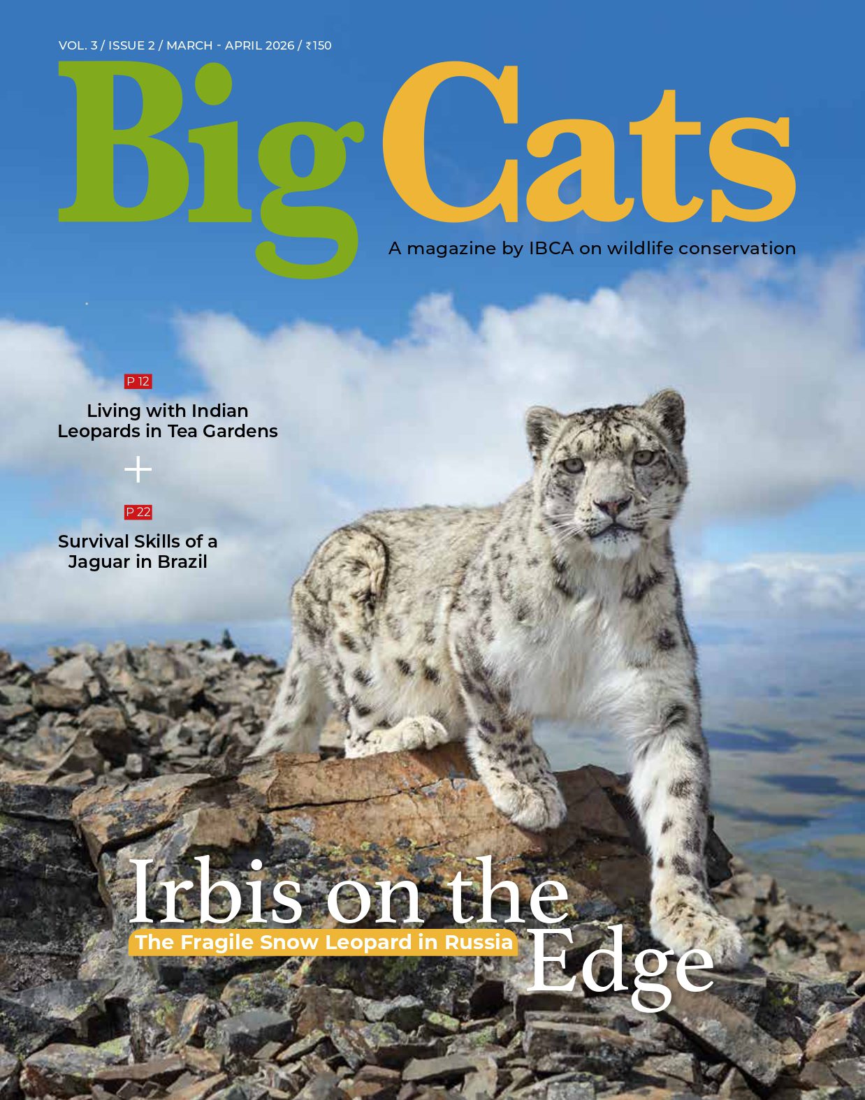 BigCats magazine Subscription
