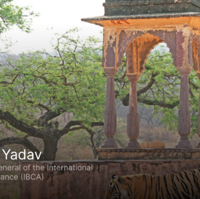 iBCA -SP yadav