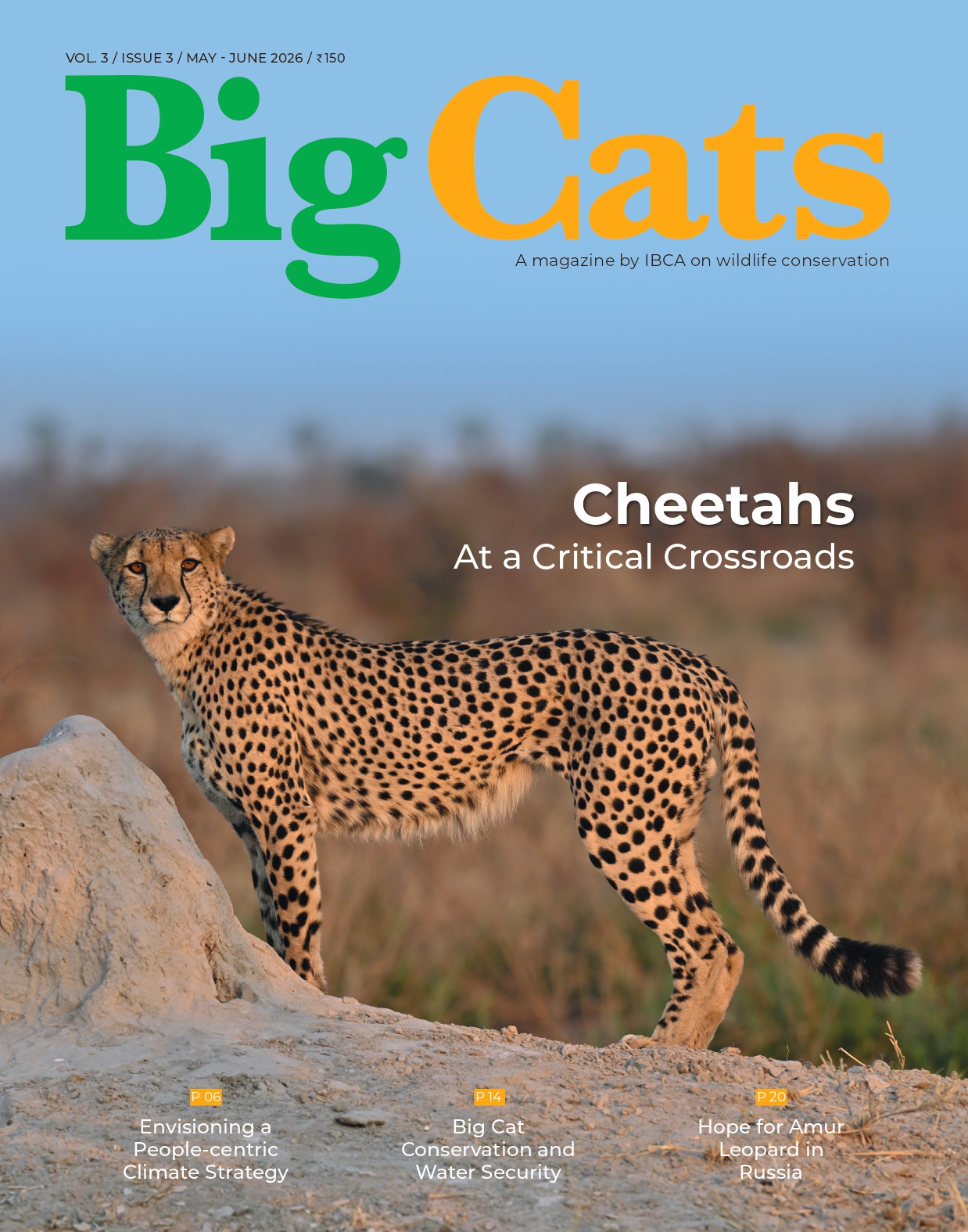 BigCats Magazine May – June edition 2026
