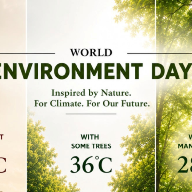 World environment day