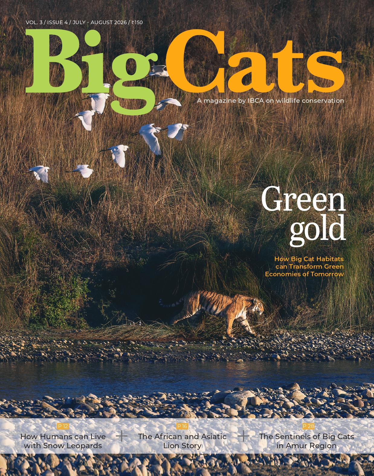 BigCats Magazine July – August edition 2026