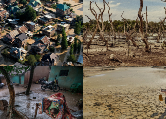 El Niño_ Understanding the Enigma in Times of Climate Change El Niño_ Understanding the Enigma in Times of Climate Change
