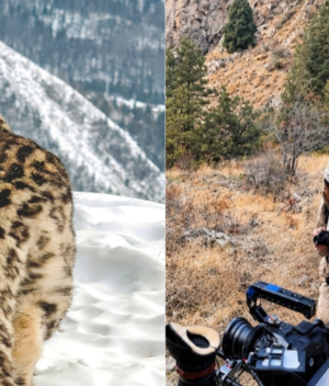 Building a Shared Future for Snow Leopards and Mountain Communities