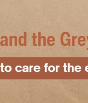 The Big C and The Grey Wave